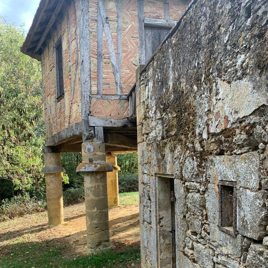 A new view of the pigeonaire from ground level.

This old retaining wall has a c