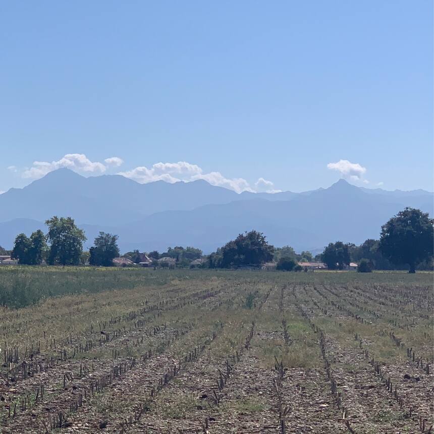 We drove down to Pau today to do our Highway Code test.  🤞 The scenery on the wa